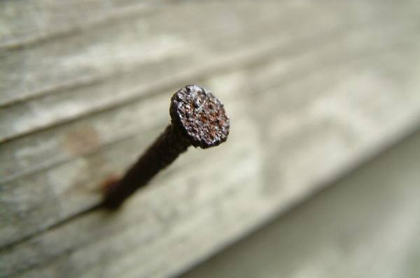 В астраханском детсаду нашли разбросанные гвозди