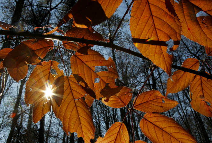 Завтра погода еще продолжит баловать астраханцев