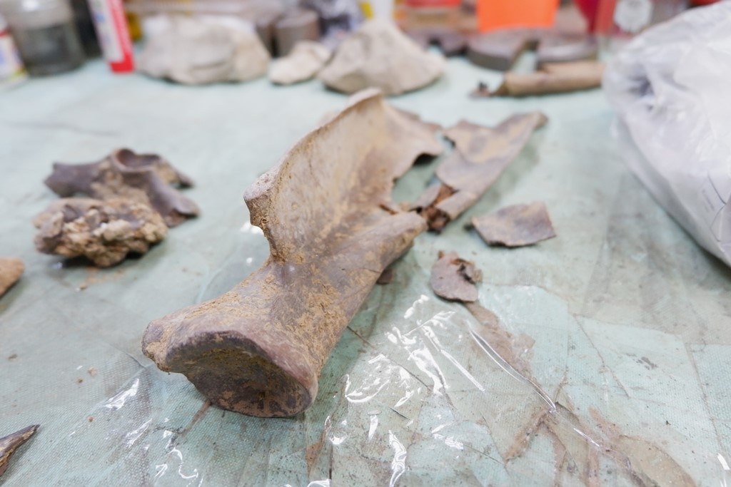 Новые находки астраханских ученых подтверждают сенсационное открытие о древних людях Прикаспия