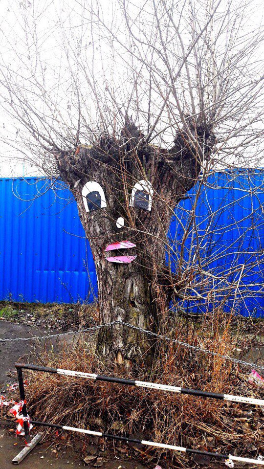 Фото дня: в Астрахани появился свой Грут