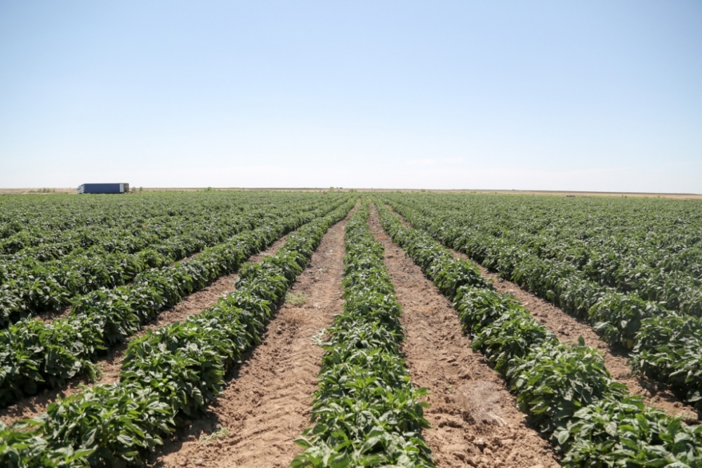 Избившим до смерти трудового мигранта в Астраханской области вынесли приговор