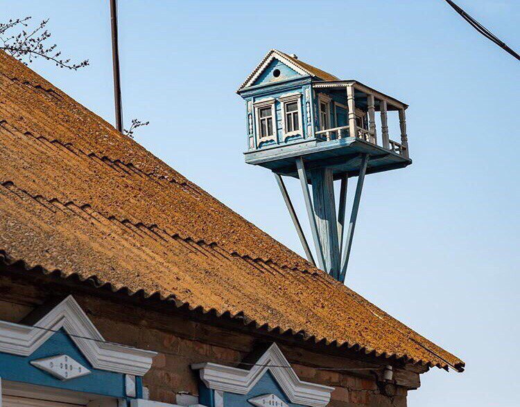 Под Астраханью сфотографировали скворечник, поражающий своей архитектурой