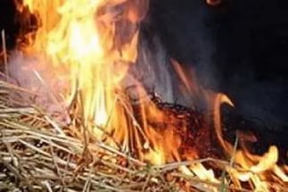 В Астраханской области из-за детской шалости сгорели две тонны сена