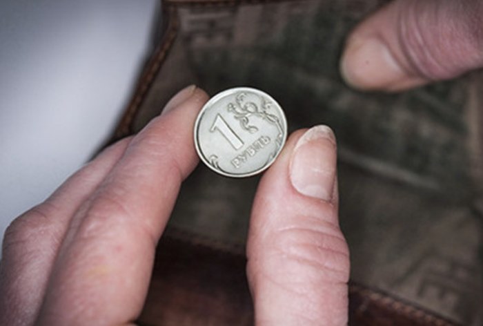 Прогноз роста реальных доходов россиян в 2019 году снизили в 10 раз