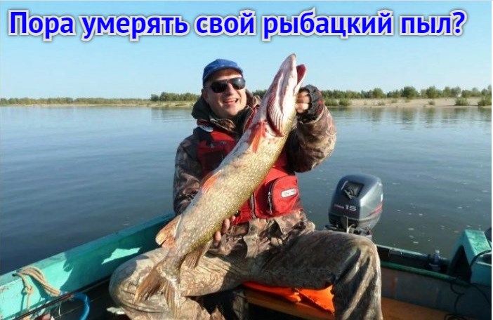 Волга и разум: вернется ли рыба в главную русскую реку