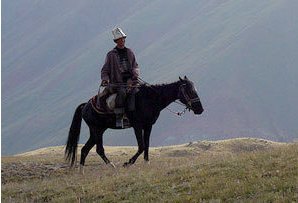 В Астраханской области автомобиль насмерть сбил пастуха, ехавшего на лошади