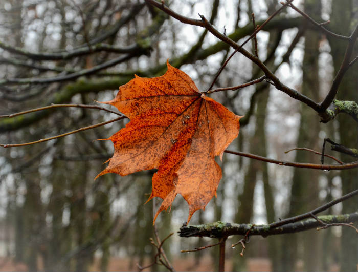 В Астрахани с каждым днем становится теплее 
