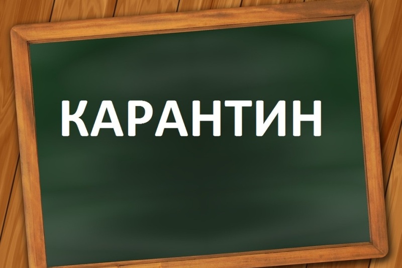 Сразу в нескольких школах Астраханской области объявлен карантин