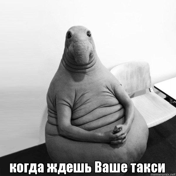 Астраханки с детьми не могут уехать на такси