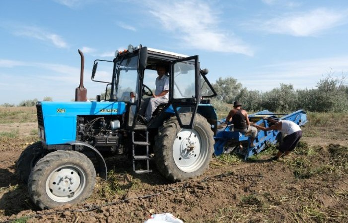 С начала года в астраханский агропром трудоустроились около 400 человек