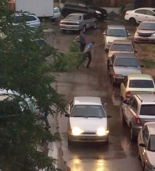 Пророчество астраханцев об опасном дереве сбылось