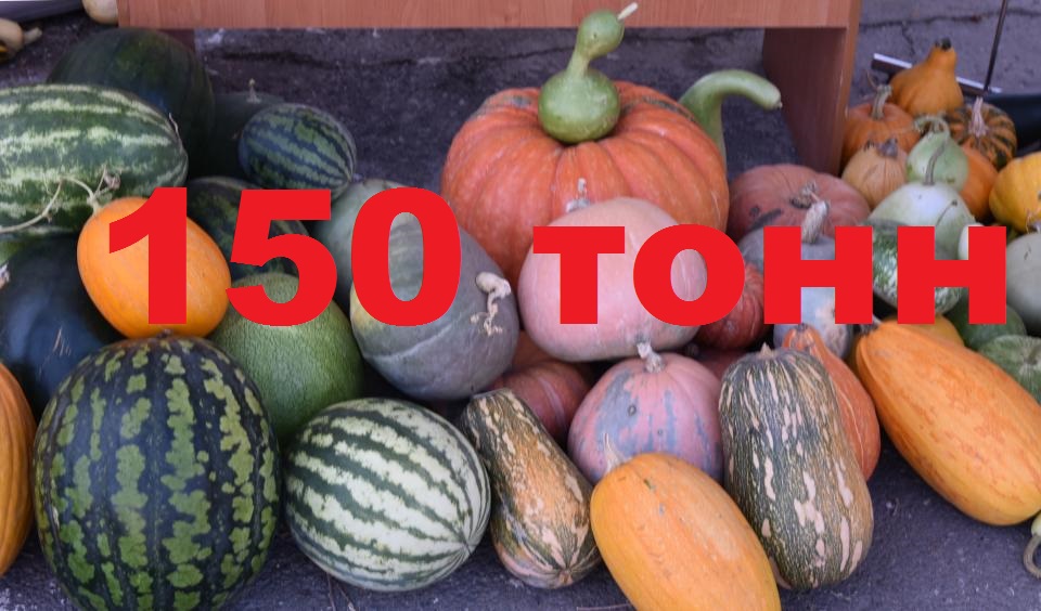 Цифра дня: 150 тонн продукции представили сегодня на ярмарке