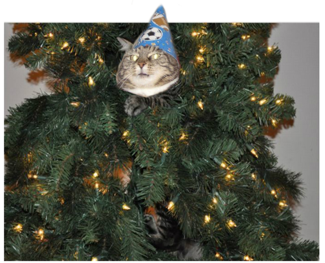 Здравствуй, елка, Новый год. Обзор соцсетей