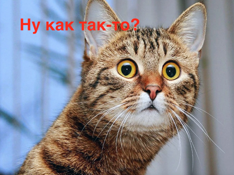 В Икрянинском районе Астраханской области случился политический коллапс