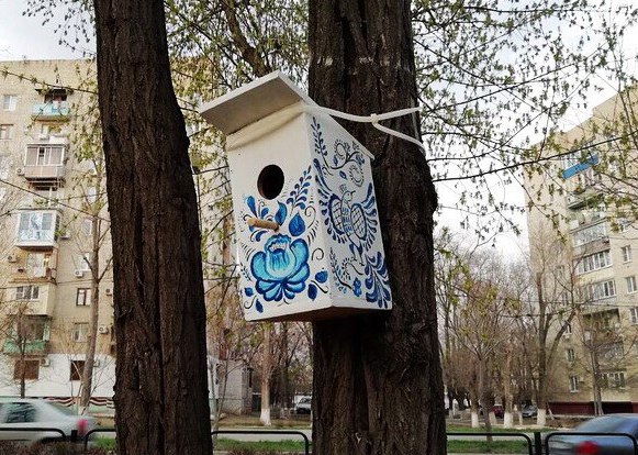 В Астрахани появились нереально красивые и креативные скворечники