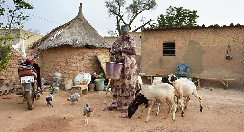 Страны Африки опередили регионы России