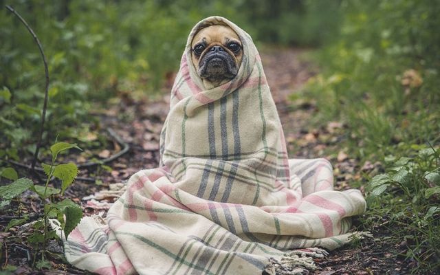 Апрель, ты чего? В Астрахань возвращается зима