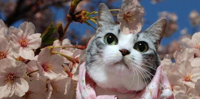 В воскресенье в Астрахани немного утихнет ветер, но сохранится весенняя прохлада