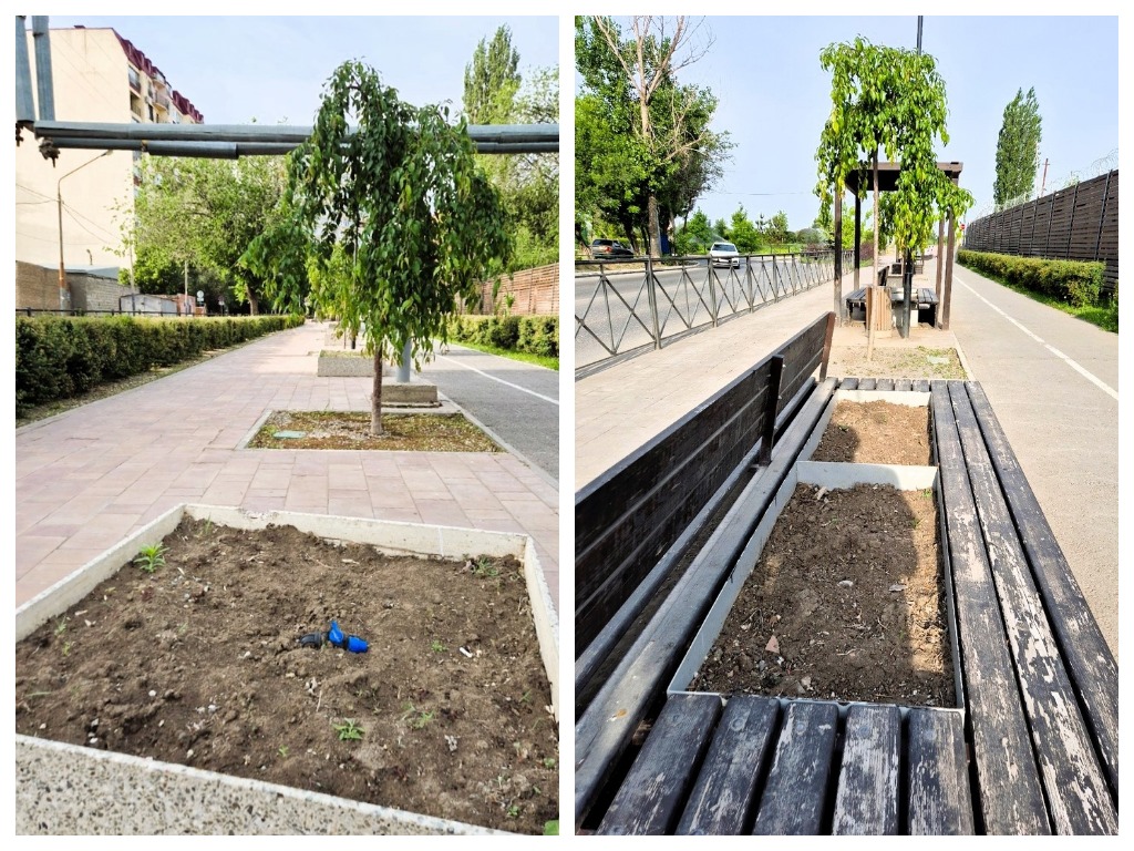 На обновленной Комсомольской набережной в Астрахани забыли посадить цветы