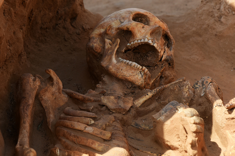 Правда о сарматских раскопках под Астраханью вызвала большие вопросы