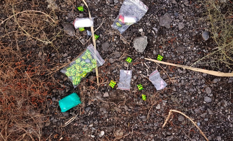 В Астрахани у супружеской пары обнаружили медведей с экстази