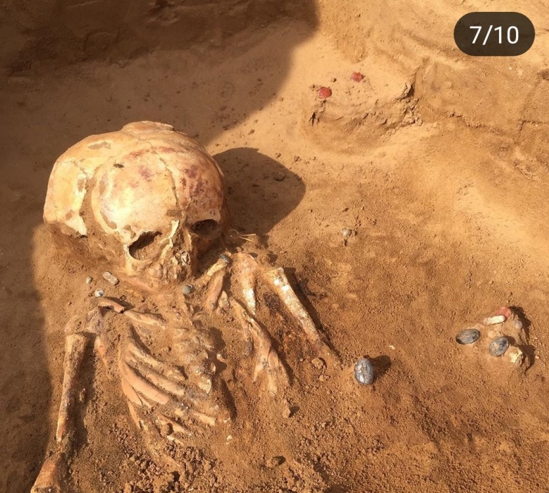 Экспедиция преподнесла астраханским археологам сюрпризы. Найдена могила богатой двухлетней сарматки