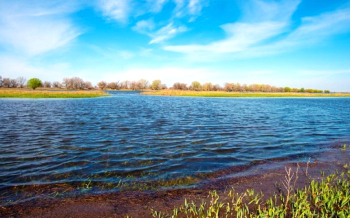 Все-таки продлевают! Астраханская область постепенно получает рыбохозяйственную полку оптимальных параметров