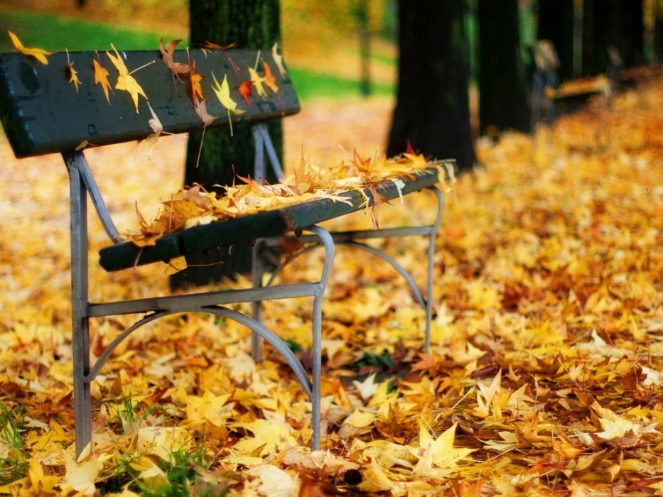 Какую погоду приготовил астраханцам ноябрь