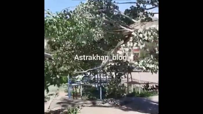 Массивный ствол дерева упал на детскую площадку в Астрахани