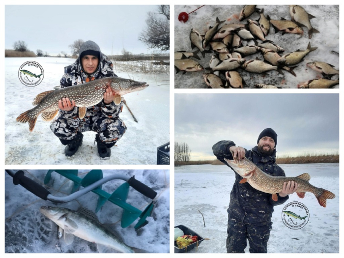 Клёвые места: зимняя рыбалка в Астраханской области