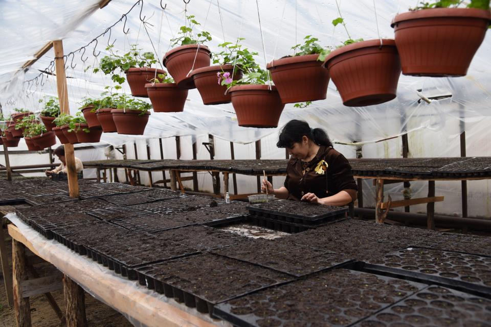 В Астрахани высадят миллион цветов