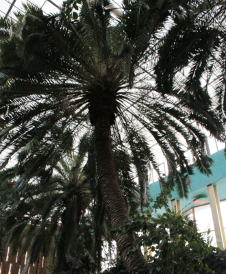 Внеплановая проверка в зоосаде КРК «Октябрь» вскрыла нарушения