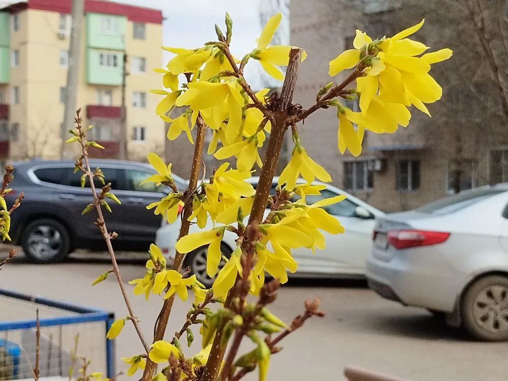 Завтра в Астрахани тепло и без дождя