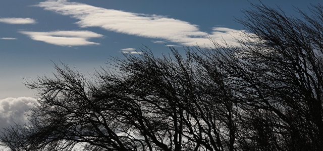 Синоптики обещают астраханцам ветреную, но не холодную пятницу