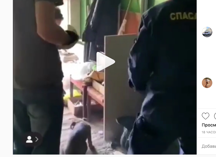 Городские спасатели вызволили из беды бездомного щенка