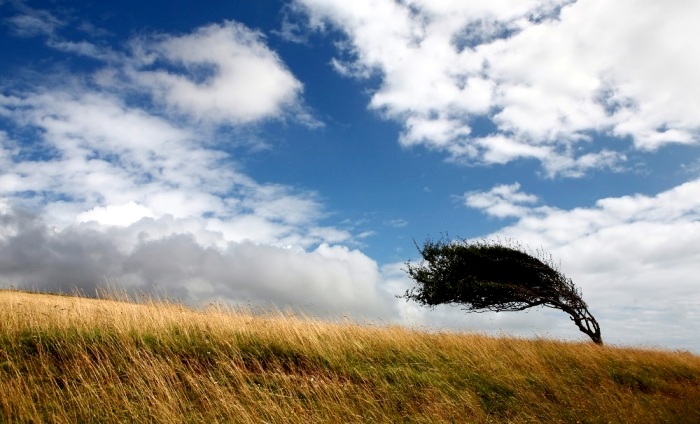 Завтра в Астраханской области ветер может набрать мощь бури