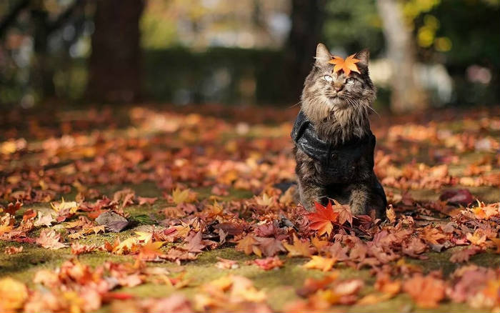 Завтра в Астрахани еще будет тепло