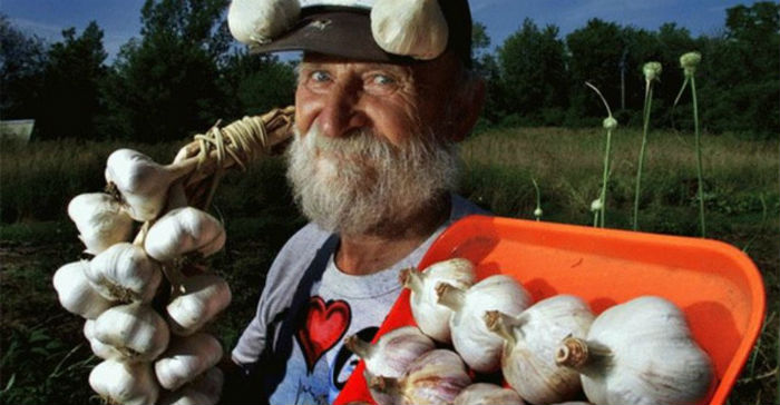 Не дельный обзор. Экспертов у нас хватает. Чеснока тоже