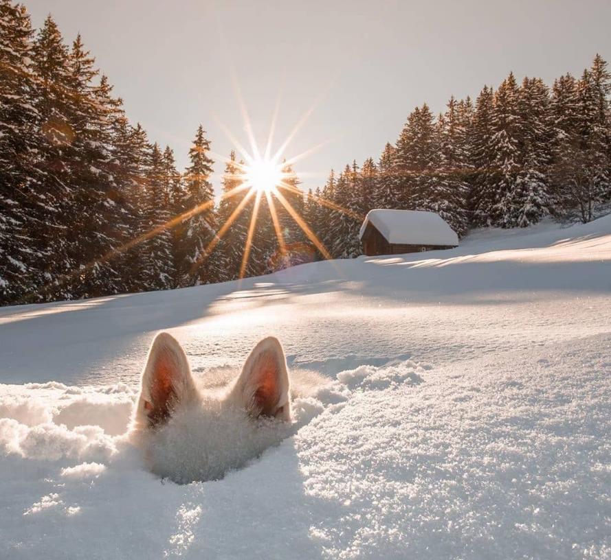 Не дельный обзор. Астраханские дворники не стучат