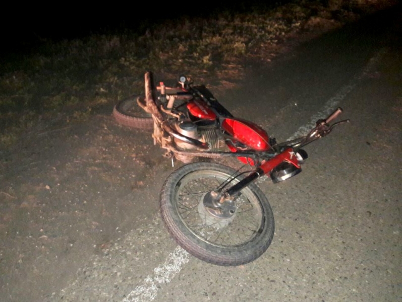 Под Астраханью школьник на мотоцикле сбил теленка: юноша в больнице