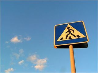 Водитель-нелегал сбил женщину на пешеходном переходе