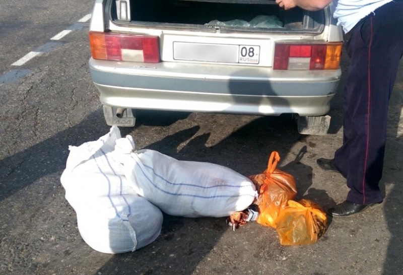 Житель Калмыкии увозил из Астрахани 57 килограмм «рыбного сувенира»