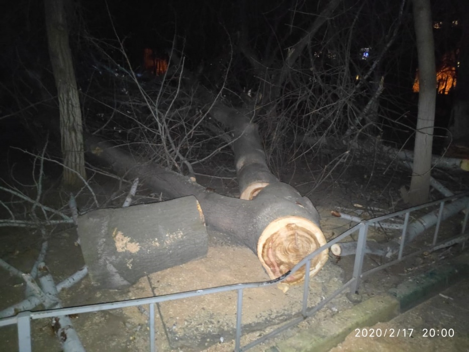 Дерево, упавшее на детскую площадку, распилили уже ночью
