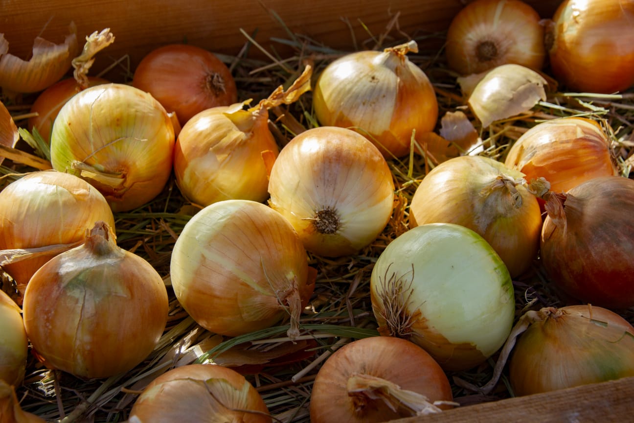 В астраханском луке обнаружили вредные вещества