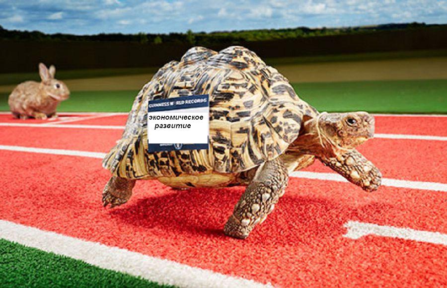 Неутешительный прогноз для астраханского малого бизнеса