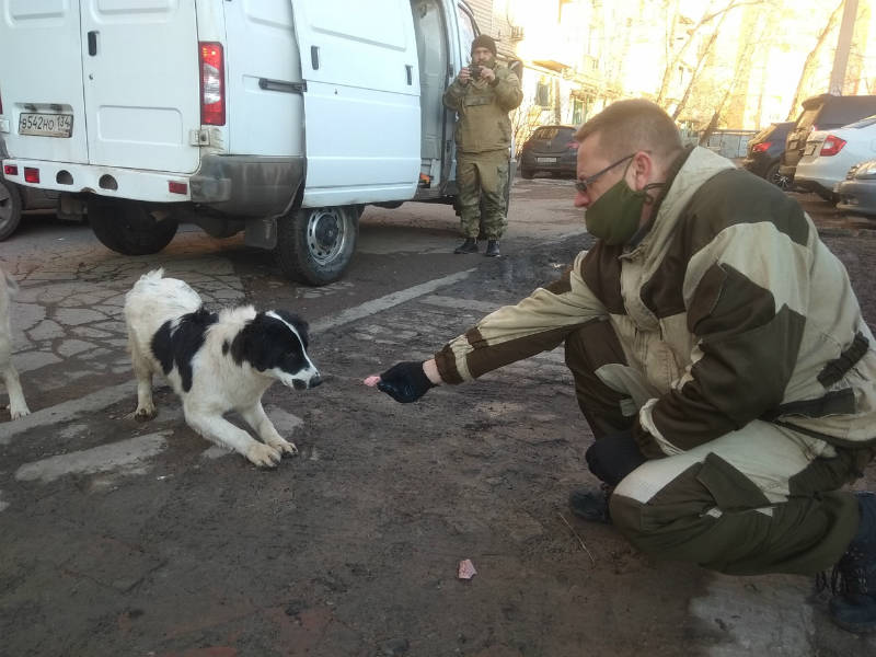 Астраханских собак везут в Волгоград. ПУНКТ-А посмотрел, как их ловят