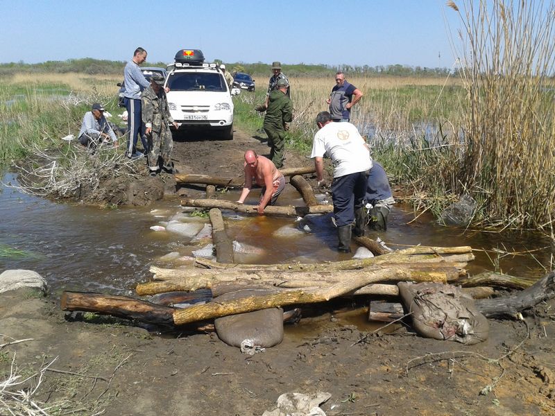 50 отдыхающих оказались заложниками водной стихии под Астраханью