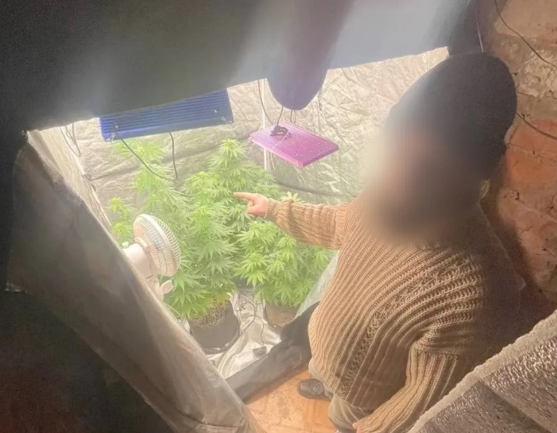 Наркоогород обнаружили полицейские в гараже у астраханца