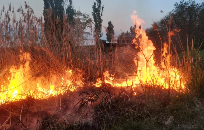 Вчера в Астраханской области два полуландшафтных пожара заставили потратить на их тушение несколько часов