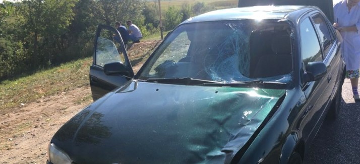 Астраханка, перебегавшая дорогу, погибла под колесами авто: видео